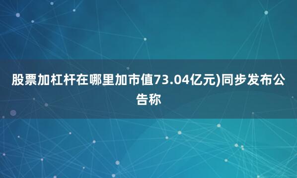 股票加杠杆在哪里加市值73.04亿元)同步发布公告称