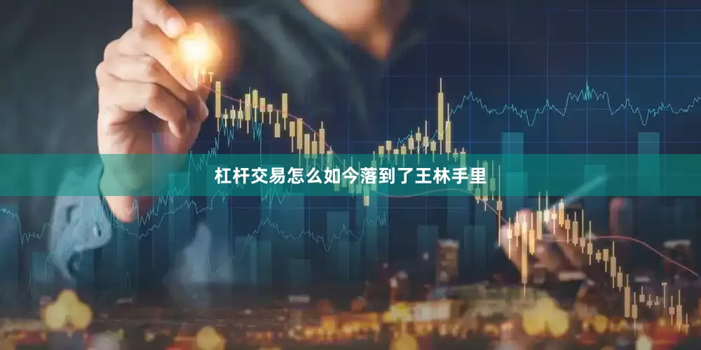 杠杆交易怎么如今落到了王林手里