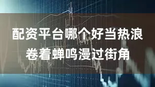 配资平台哪个好当热浪卷着蝉鸣漫过街角