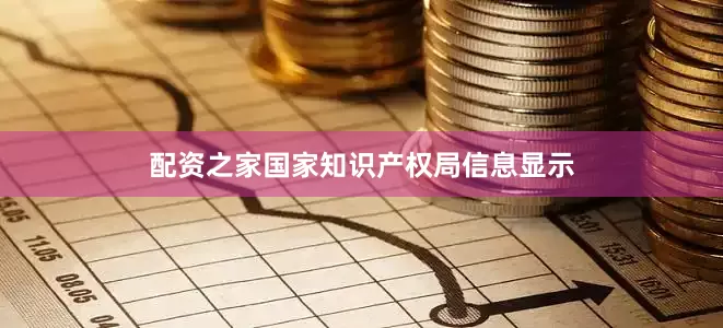 配资之家国家知识产权局信息显示