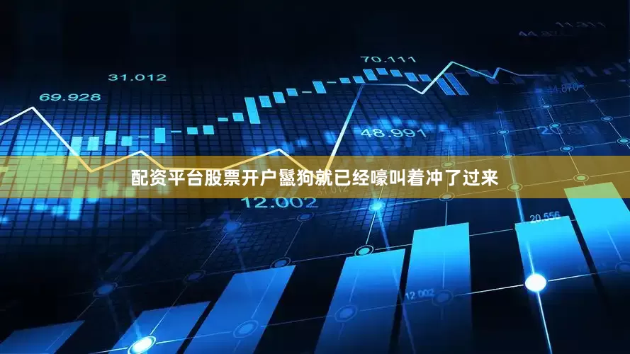 配资平台股票开户鬣狗就已经嚎叫着冲了过来
